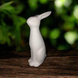 Tall Thin Bunny