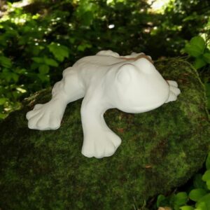 Tree Frog