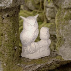 Twin Owl