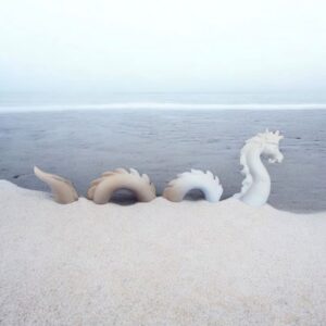 Water Dragon Pieces