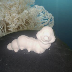 Worm