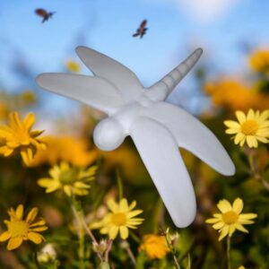 XL Dragonfly