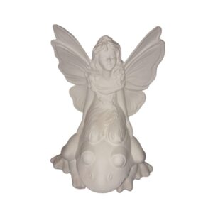 Fairy on Frog