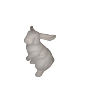 Spring Hare