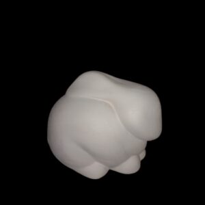 Serene Rabbit