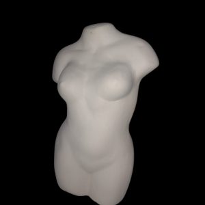 Female Body