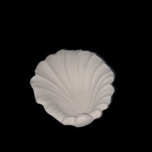 Abalone Shell
