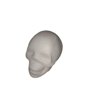 Baby Skull