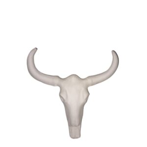 Animal Skull