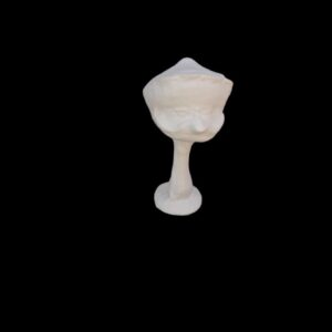 Angry Mushroom