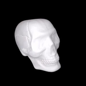 Creepier Skull