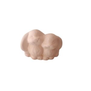 Cute Bunnies (Small)