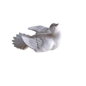 Dove 2