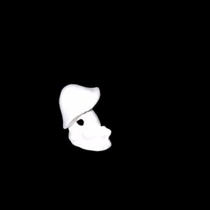 Mushroom Small