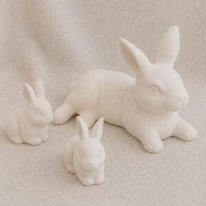 Mom Bunny with Babies