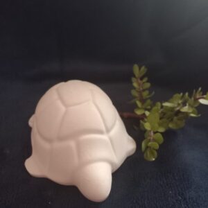 Deco Tortoise