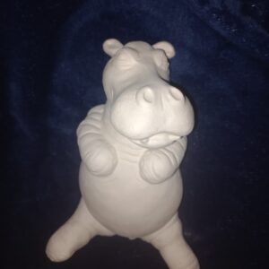 Hippo on Back