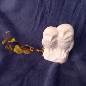 Twin Owl