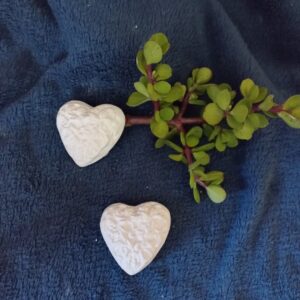Plump Heart