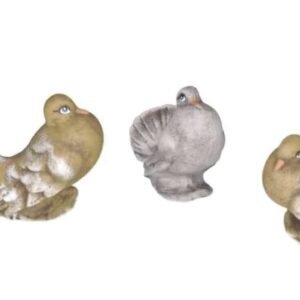 Dove