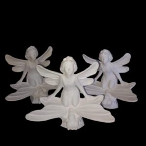 Fairy on Dragonfly