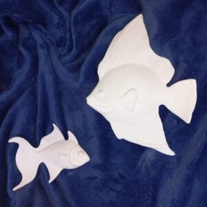 Angel Fish
